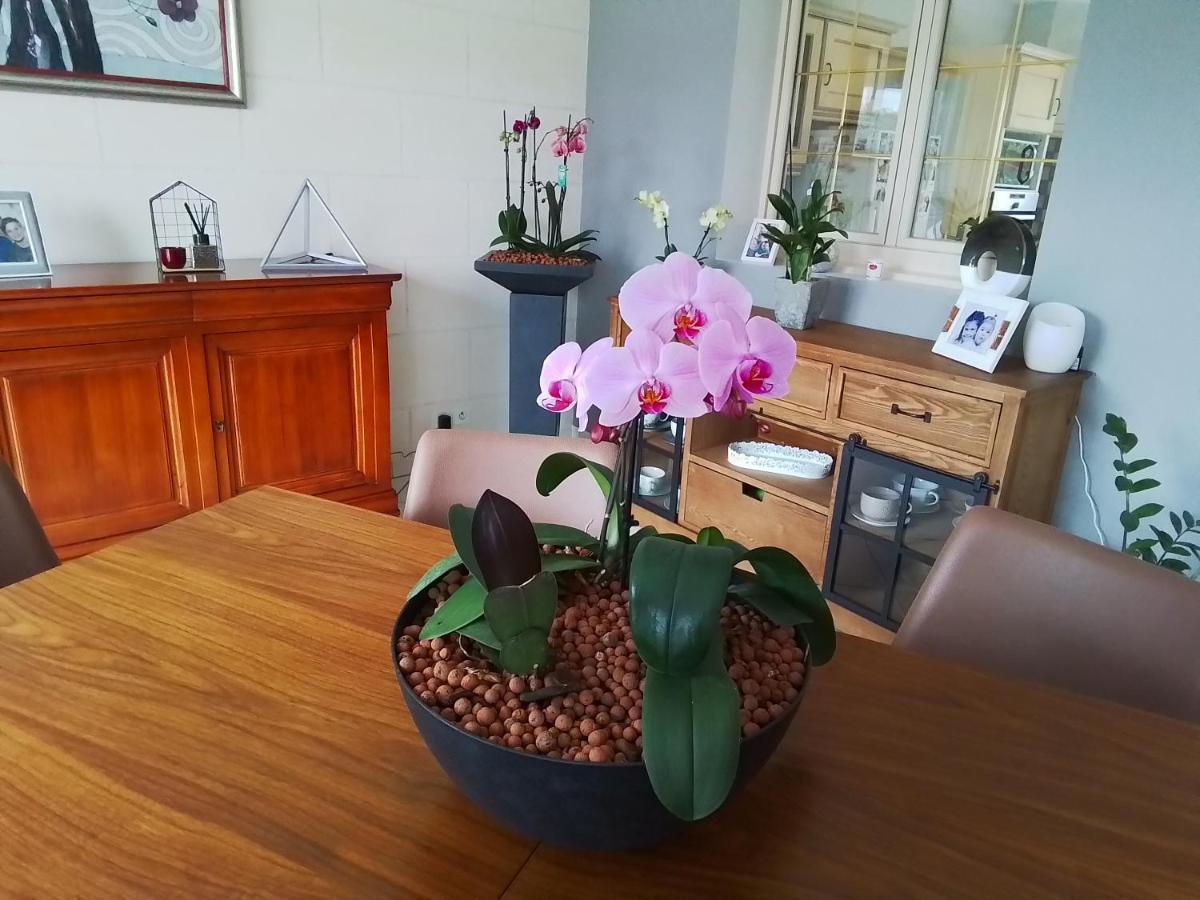Artannes-sur-IndreAu Detour Des Orchidees公寓 外观 照片